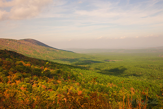 The scenic vistas from the Talimena Byway are just a short drive from your Peckerwood Knob cabin.