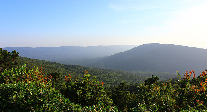 Cabin rental guests love to enjoy the scenic drive and expansive vista views.