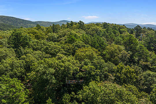 Peckerwood Knob Oklahoma cabin nestled in the trees aside the mountains makes for a hidden oasis vacation destination
